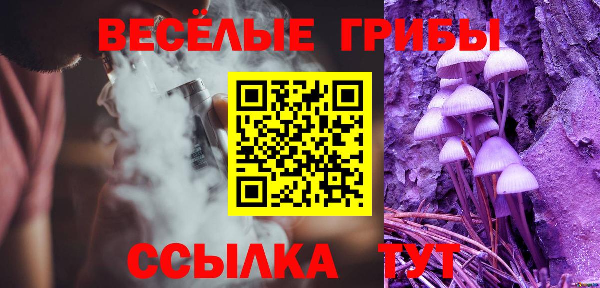 Псилоцибиновые грибы MAGIC MUSHROOMS Вольск