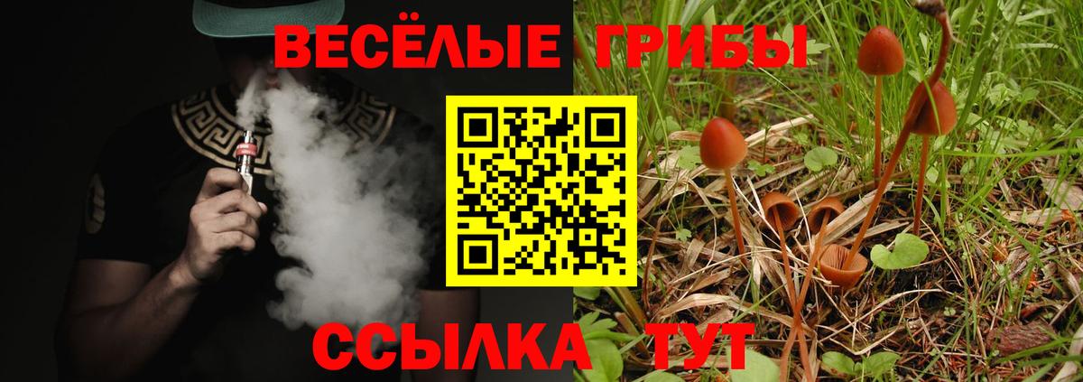 Псилоцибиновые грибы мухоморы  Вход с VPN  Вольск 
